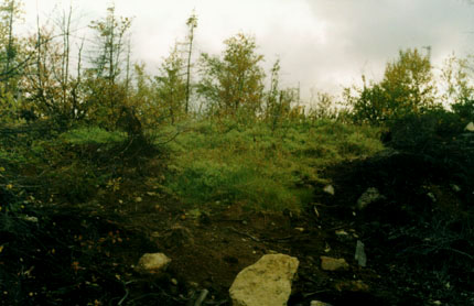 Example of restorated soil